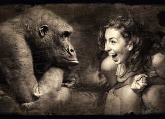 Co to jest sepią dla ptaków? Co to jest sepią dla ptaków?