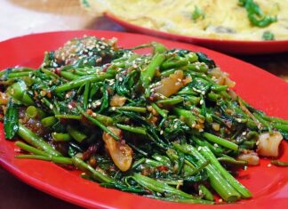 Co to jest Mątwa? Co to jest Mątwa?