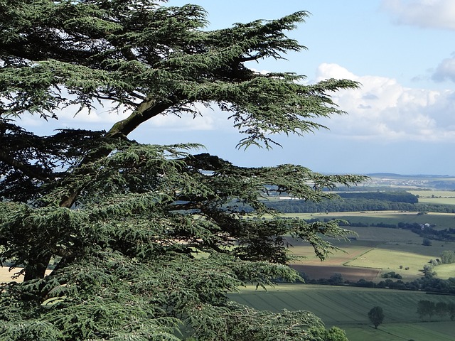 Jak ustalić wartość bilansową środków trwałych? Jak ustalić wartość bilansową środków trwałych?