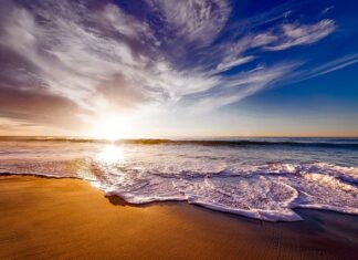 Co oznacza piana z pyska u psa? Co oznacza piana z pyska u psa?