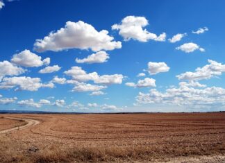 Czy można siać zaraz po orce? Czy można siać zaraz po orce?