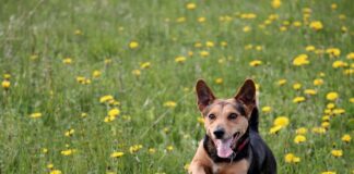 Jak dobrać Wylewkę do kranu?