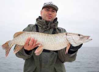 Jakie koguty na sandacza? Jakie koguty na sandacza?