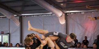 Jak dobrać rękawice do MMA?