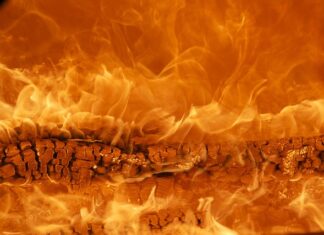 Jaka jest najlepsza marka rękawic bokserskich? Jaka jest najlepsza marka rękawic bokserskich?