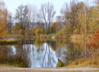 Jakie gumy na okonia? Jakie gumy na okonia?